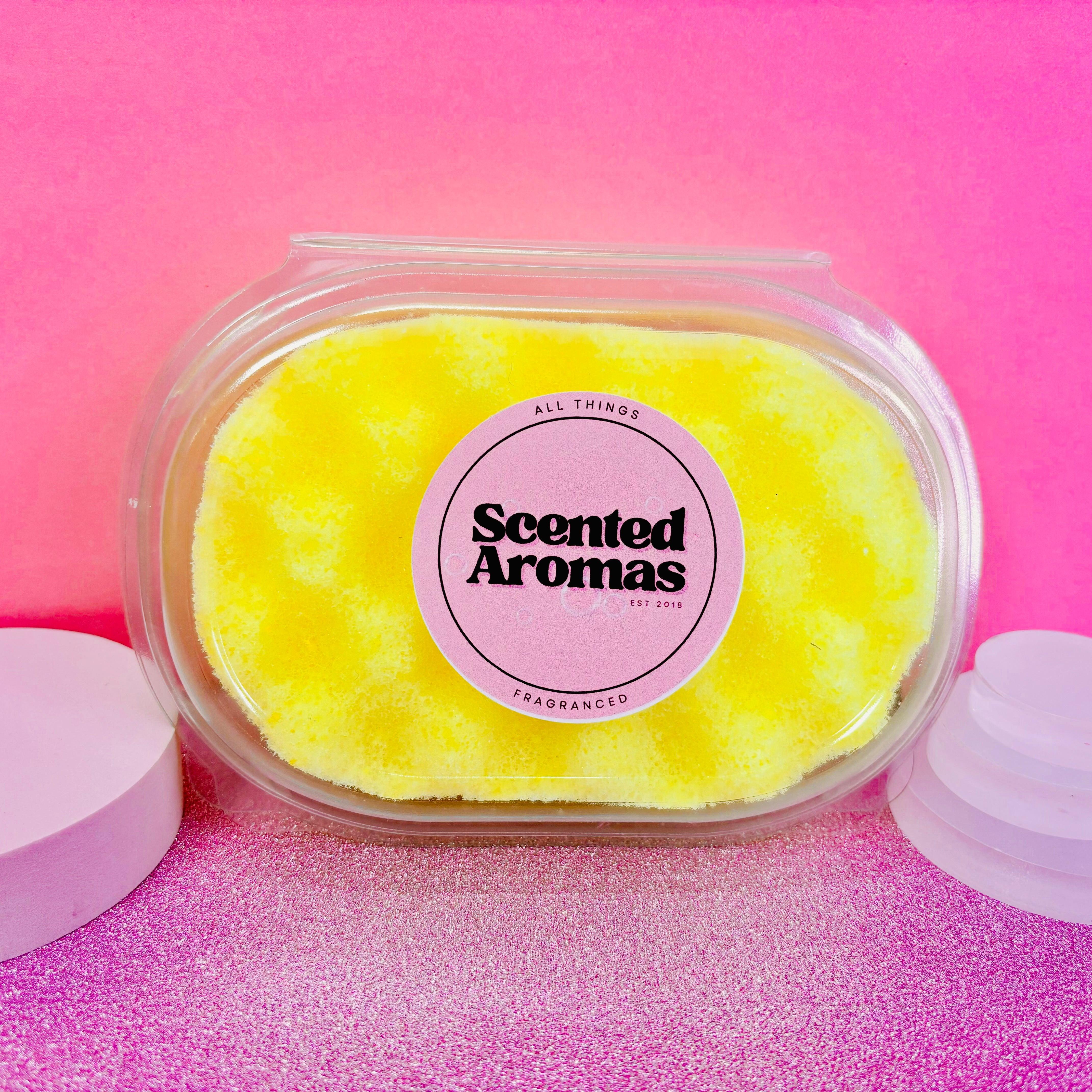 Citronella Soap Sponge - Natural Insect Repellent - Image 3